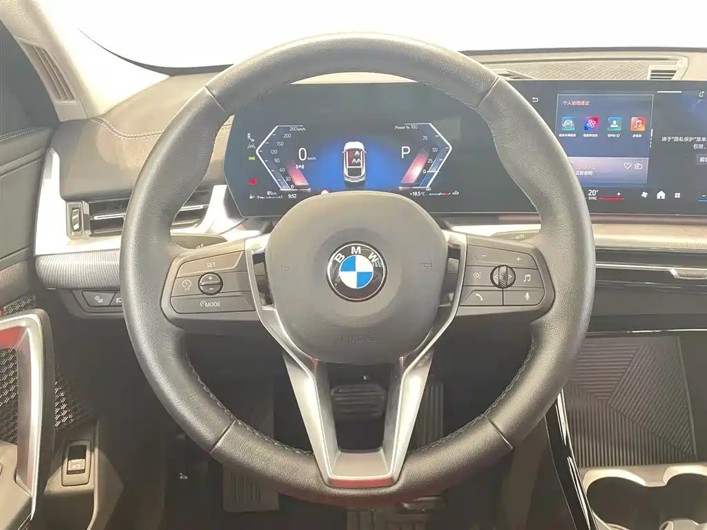 BMW X2 (Import) 2024 sDrive25i M Sport Package фото 10