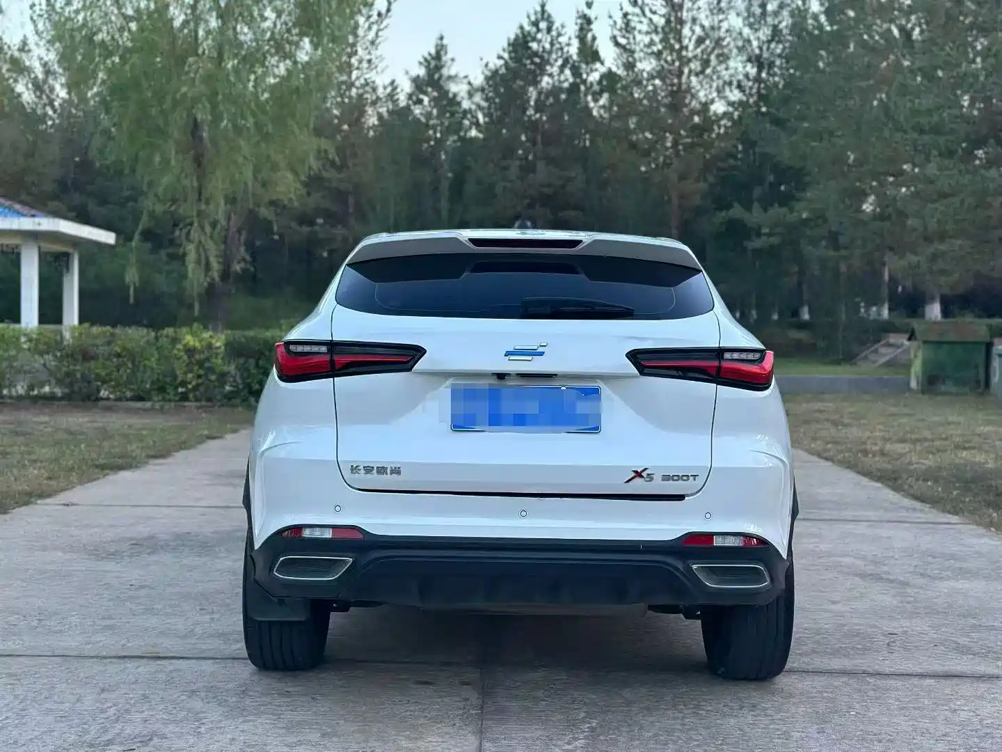 Фото 5 - Changan Oshan Changan Oushang X5
