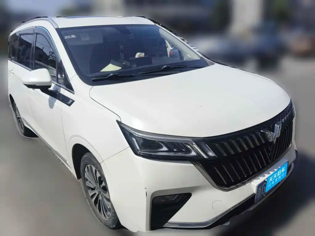 Wuling Motors Wuling Jiachen 2023 2022 1.5T CVT Exclusive Flagship Model