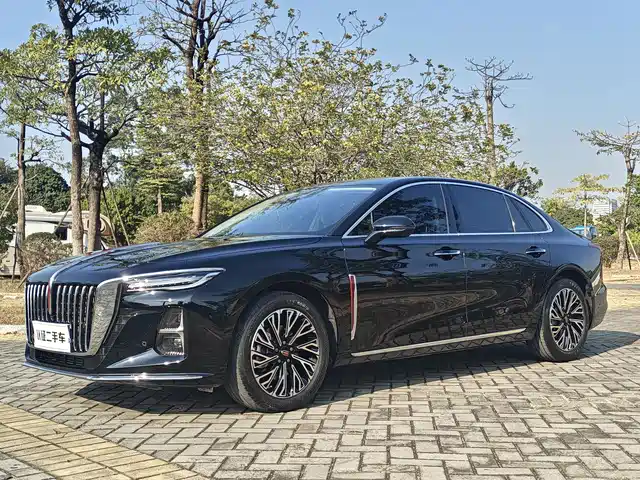Hongqi H5 2024