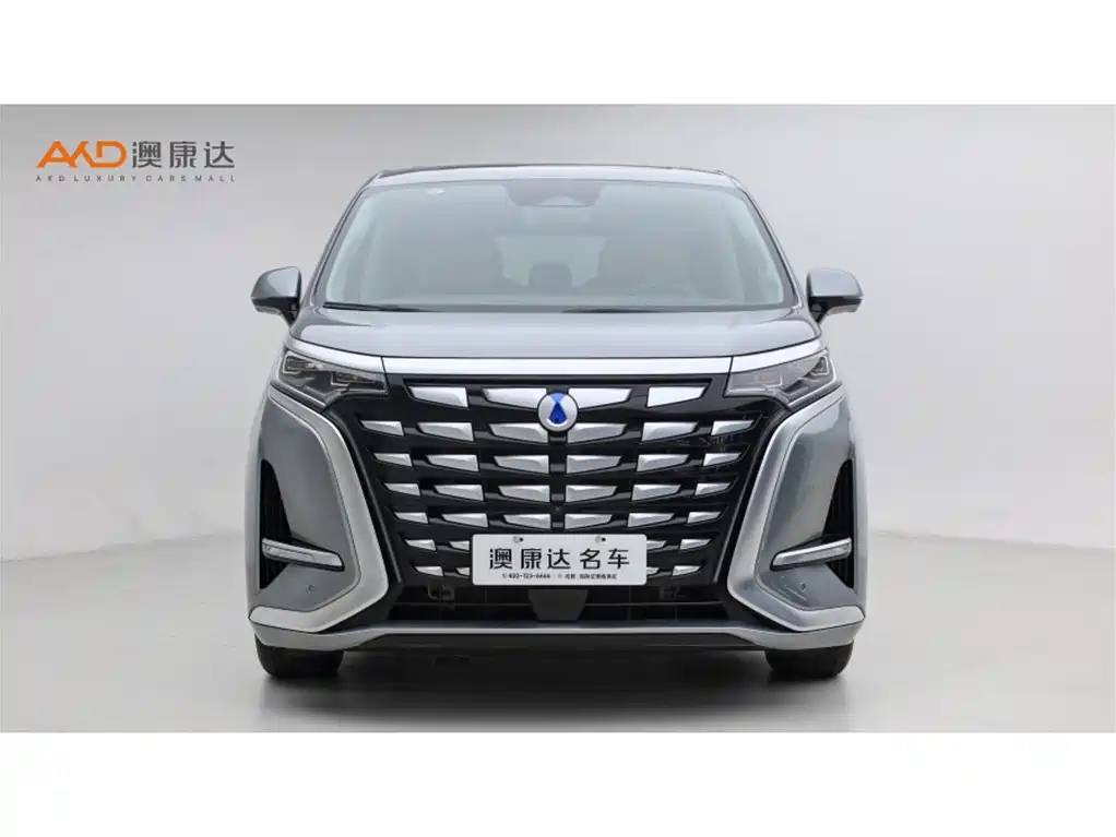 Denza D9 2022 DM-i 970 AWD Flagship фото 2
