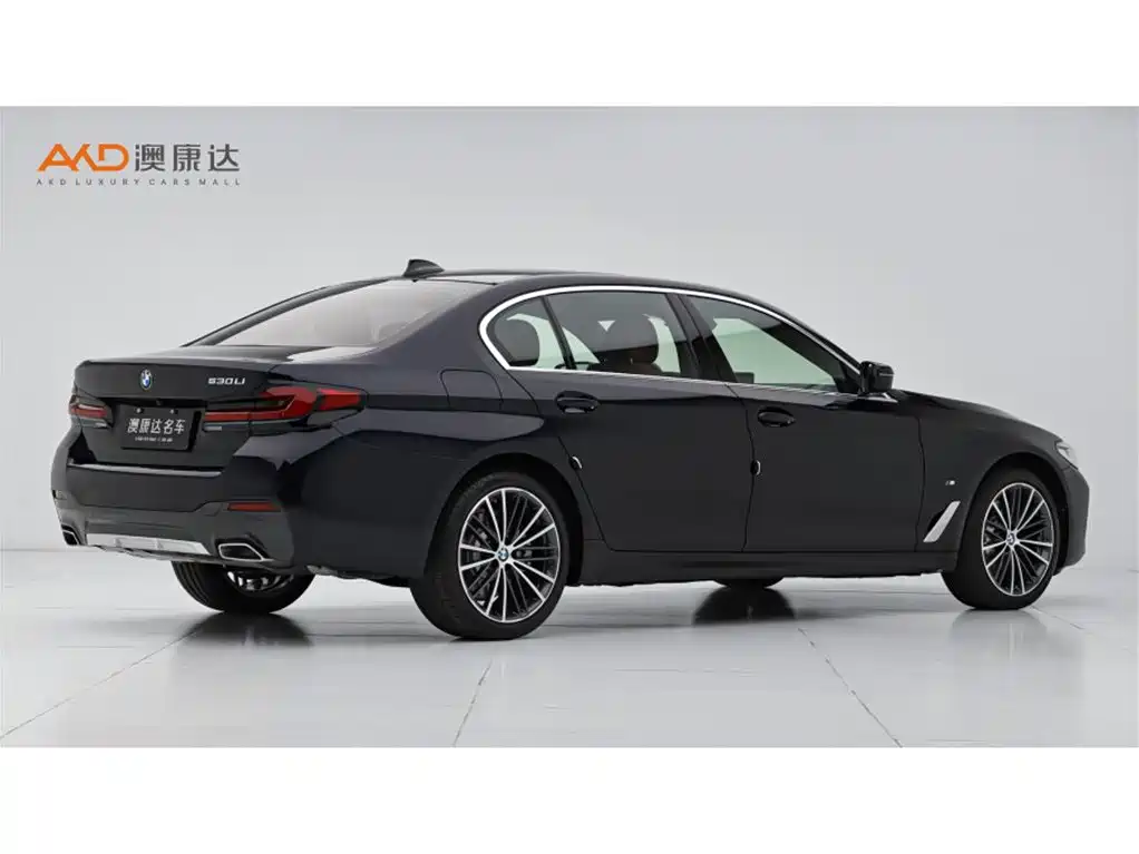 BMW 5 Series 2021 530Li xDrive M Sport Package фото 3