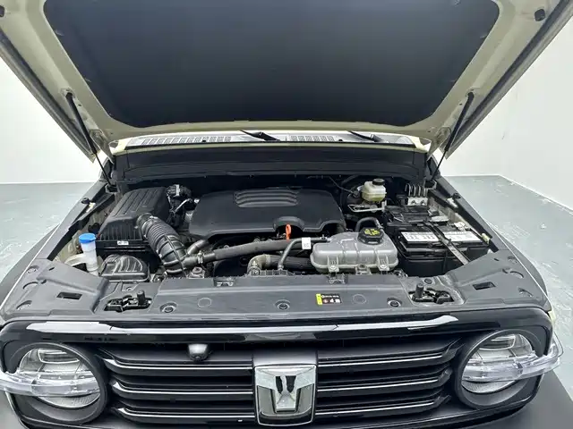 Tank 300 2025 2025 2.0T Challenger