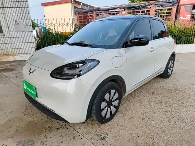  Wuling Motors Wuling Bingo 2024 333km Comfort Edition
