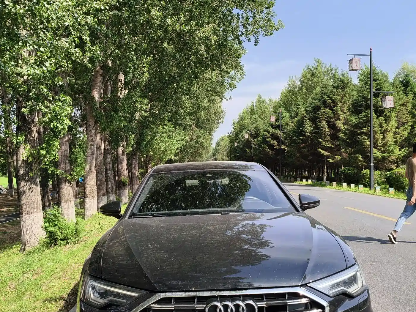 Audi A6L 2023 40 TFSI Luxury Elegance фото 3