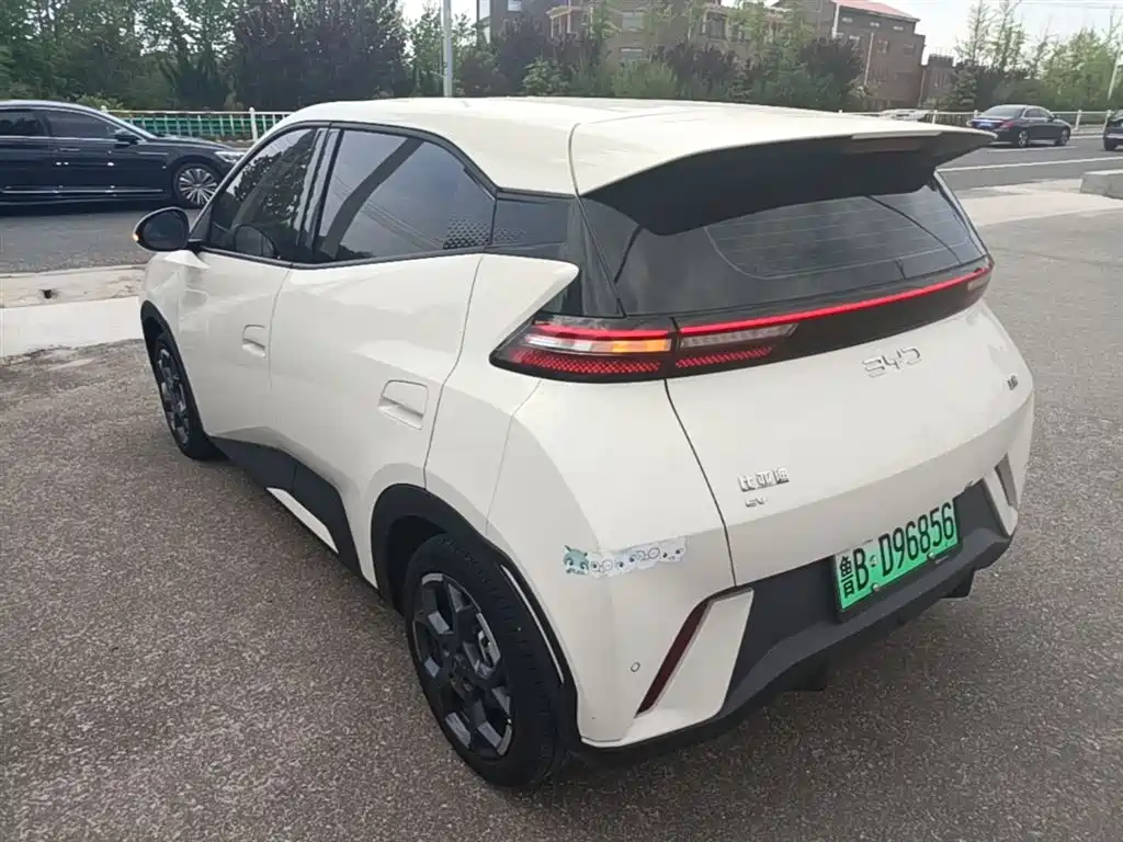 BYD Seagull 2024 Glory Edition 305km Freedom Edition фото 5