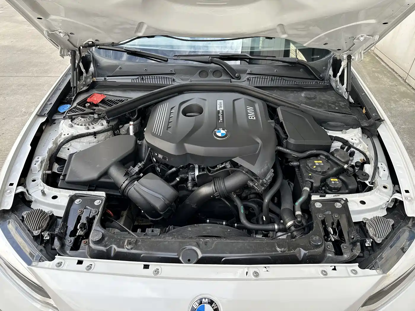 BMW 2 Series (Import) 2019 225i Convertible Coupe Sport Design Package фото 12