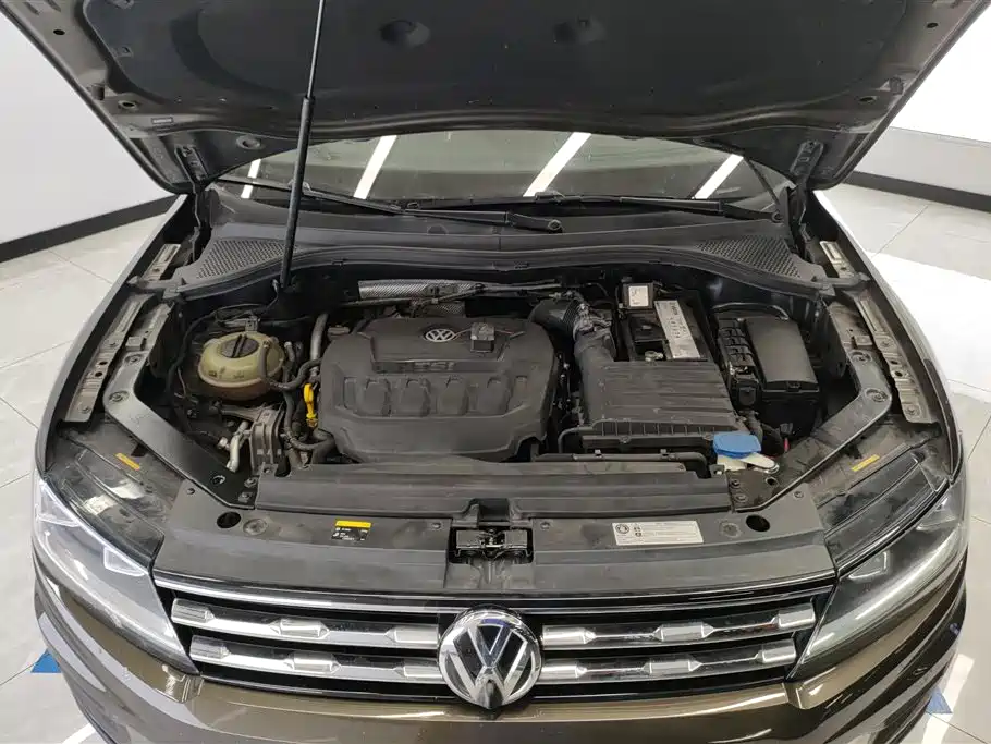 Volkswagen Tiguan L 2018 330TSI Automatic 2WD Luxury Edition фото 10