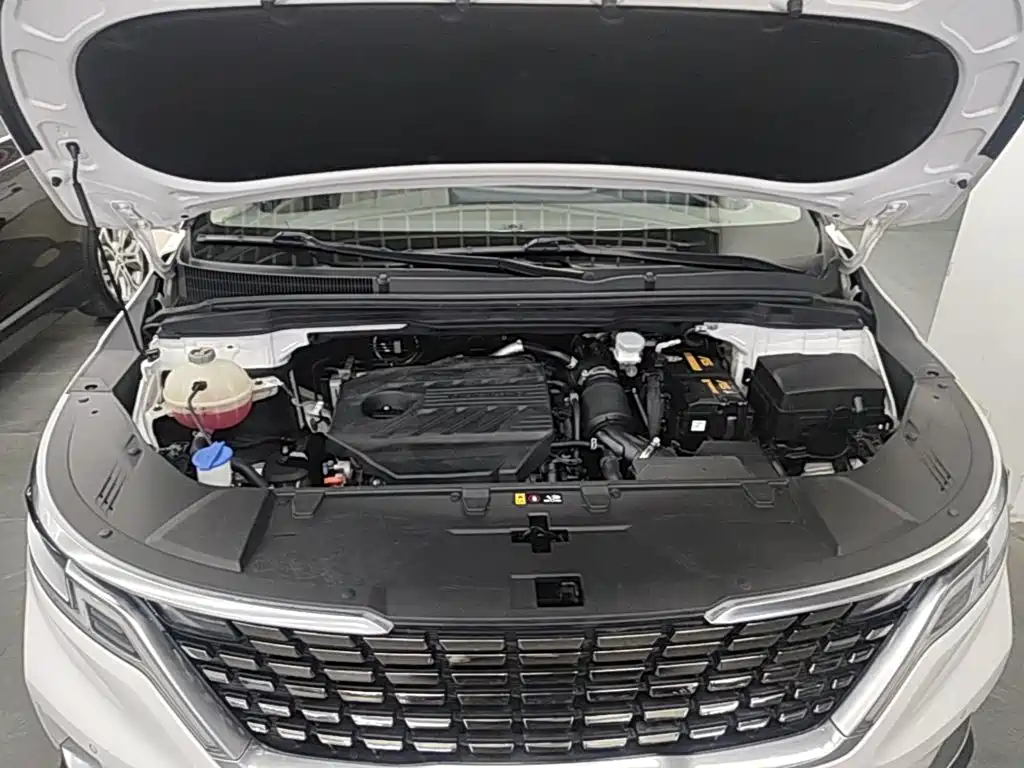 Kia Carnival 2022 2021 2.0T Luxury Edition