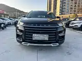 Фото 2 - Exeed TX