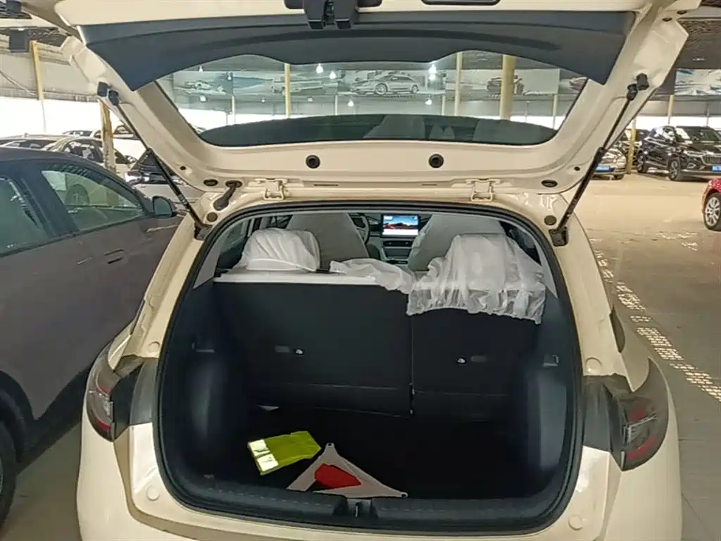 Geely Galaxy Starry Wish 2026 Edition 310km Youth Version фото 19