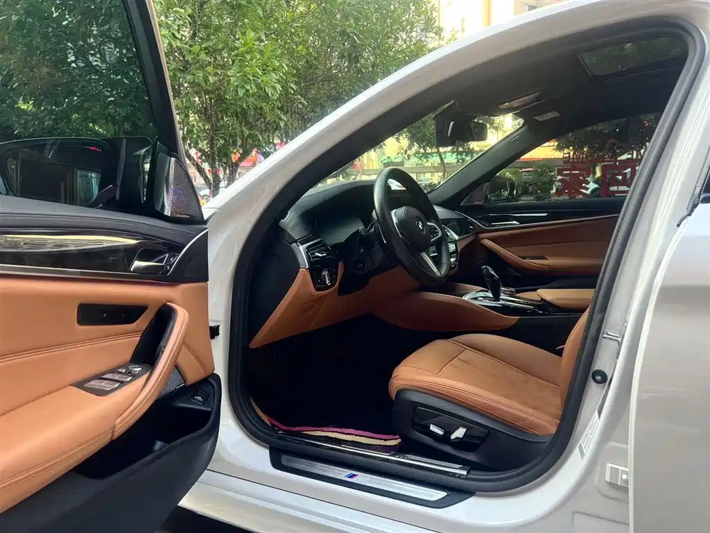 BMW 5 Series 2020 530Li Exclusive M Sport Package фото 7