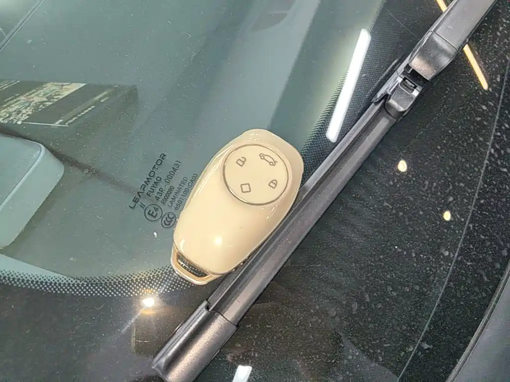 Leapmotor C11 2022 2021 Luxury Edition