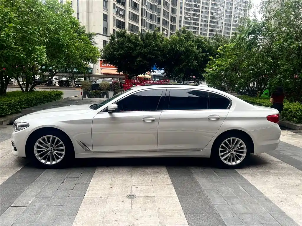 BMW 5 Series 2020 530Li Leading Luxury Package фото 4