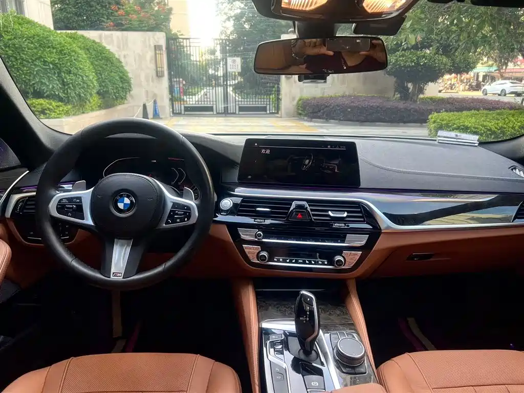 BMW 5 Series 2020 530Li Exclusive M Sport Package фото 9