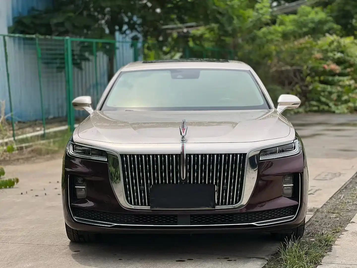 Фото 2 - Hongqi H9