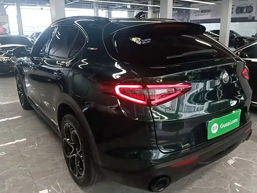 Alfa Romeo Stelvio 2021 2020 2.0T 280HP Luxury Edition