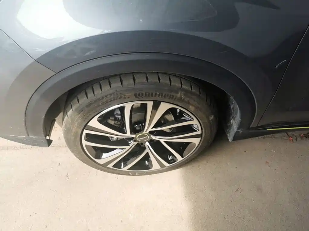 Фото 23 - Roewe RX5