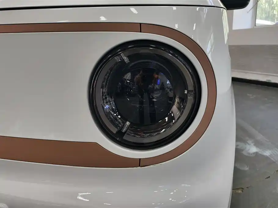 Geely Galaxy Panda 2024 Panda mini 200km Endurance Bear фото 5