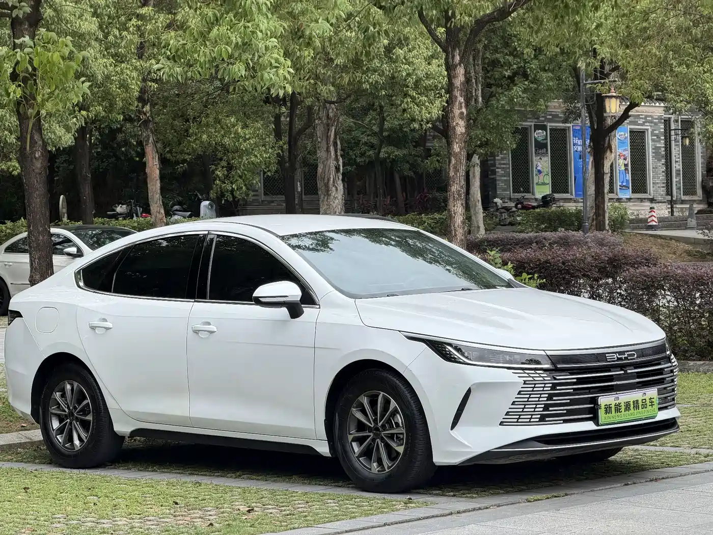 BYD Destroyer 05 2024 Glory Edition DM-i 55KM Luxury фото 5