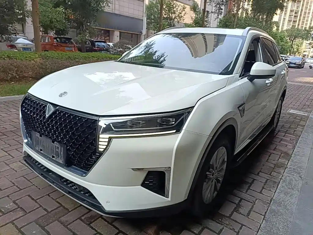 Venucia Star 2020 2020 260T Automatic 48V Mild Hybrid Turbo Star Enjoy Edition