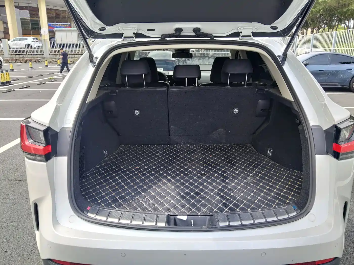 Lexus NX 2024 2023 260 FWD Dynamic Edition