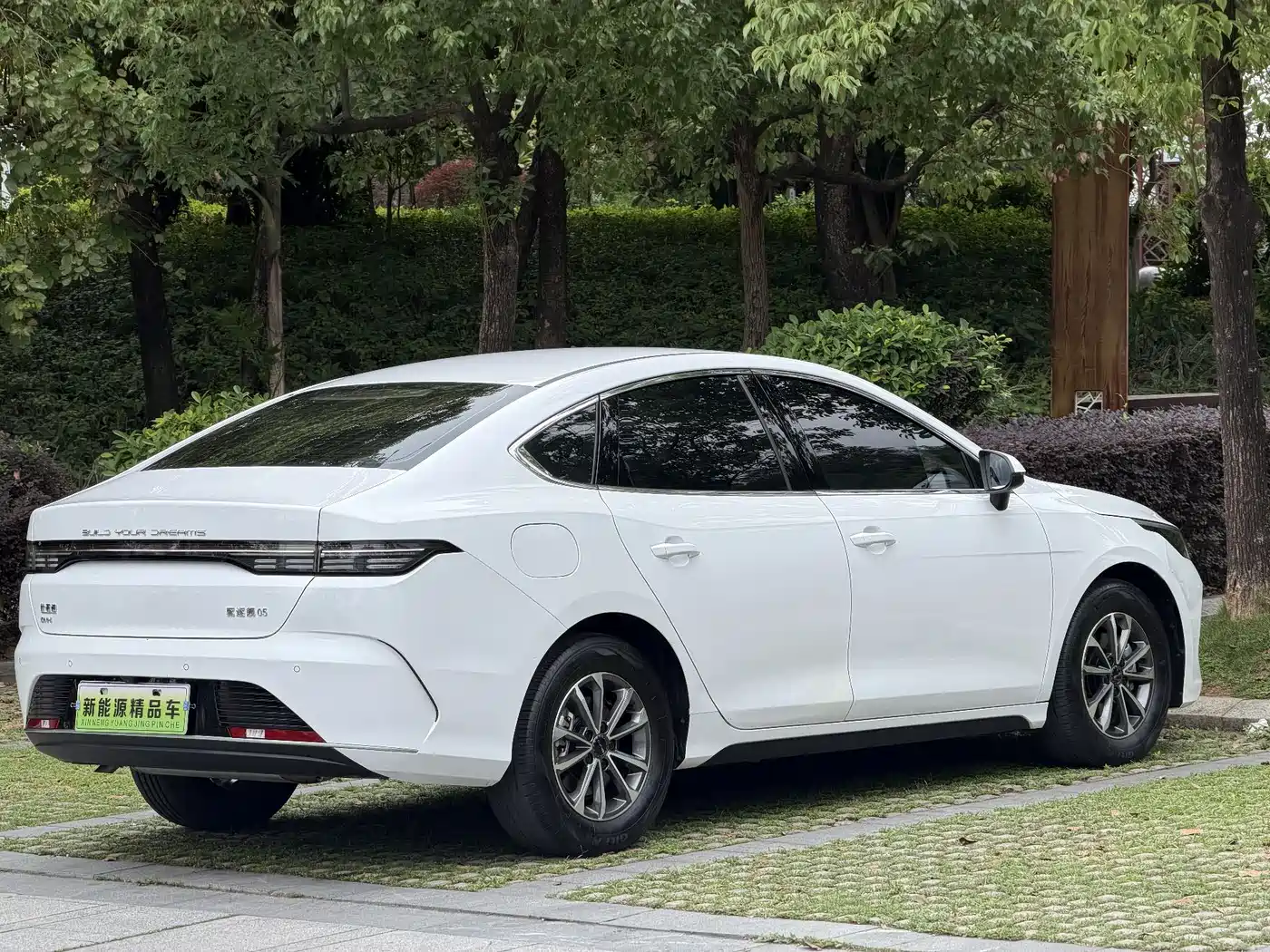 BYD Destroyer 05 2024 Glory Edition DM-i 55KM Luxury фото 2