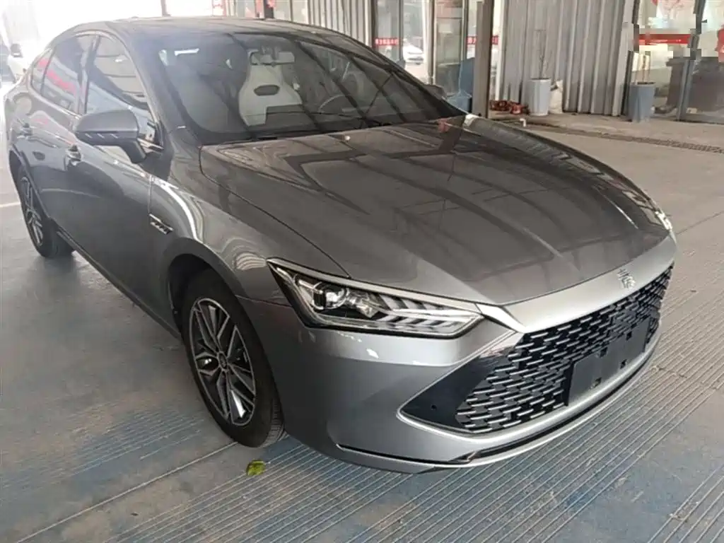 BYD Qin PLUS 2023 Champion Edition DM-i 120KM Excellence фото 4