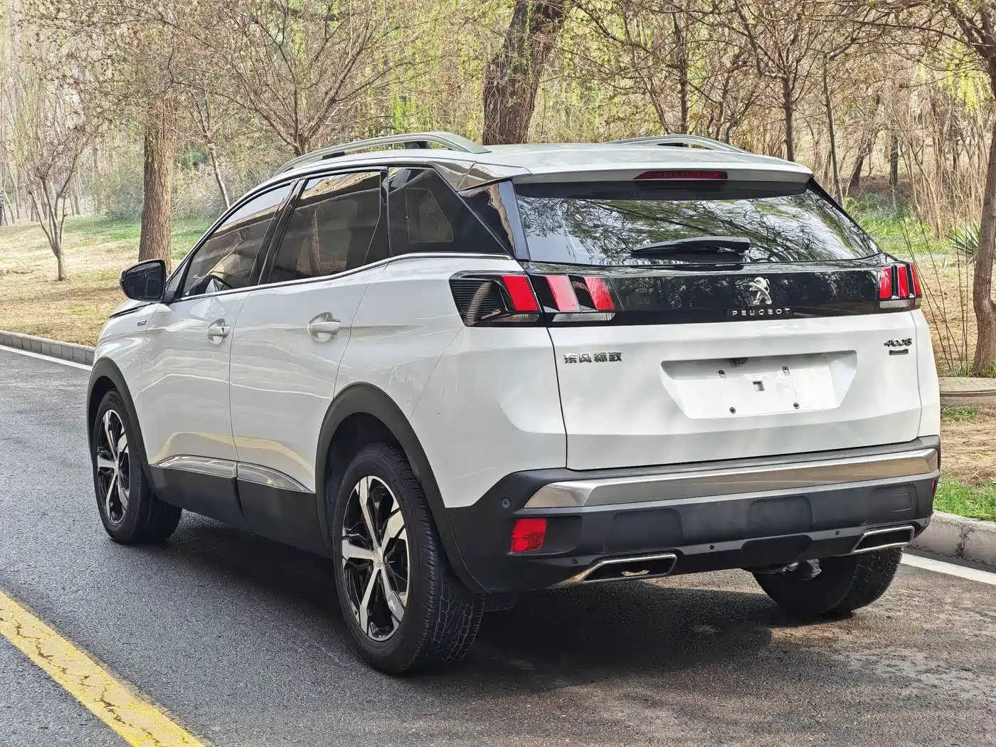 Peugeot 4008 2018 350THP Luxury фото 4