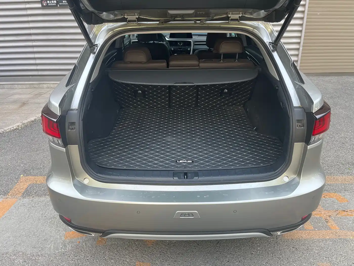 Lexus RX 2020 300 4WD Elegance Edition China VI фото 22