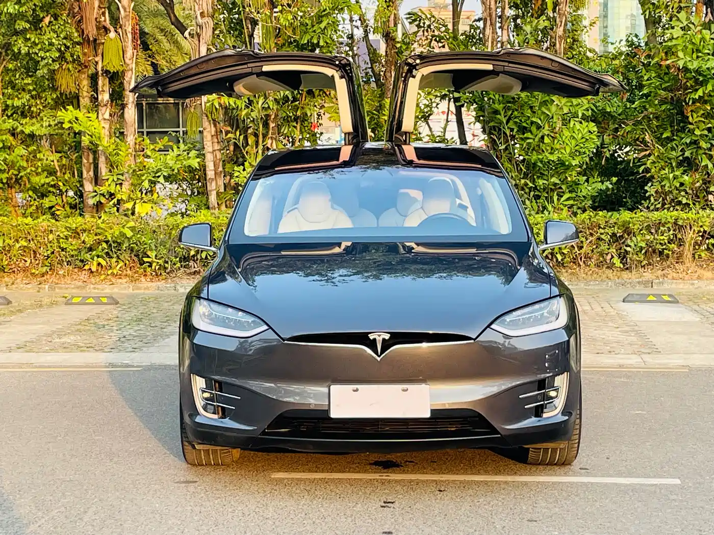 TESLA MODEL X