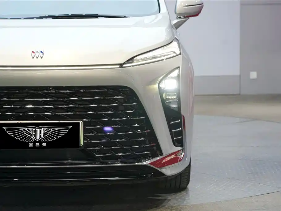 BUICK GL8 NEW ENERGY