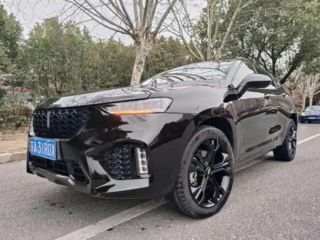 WEI PAI WEI BRAND VV7