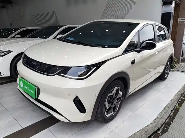 BYD Dolphin 2025 Smart Drive Edition 410km Fashion Version