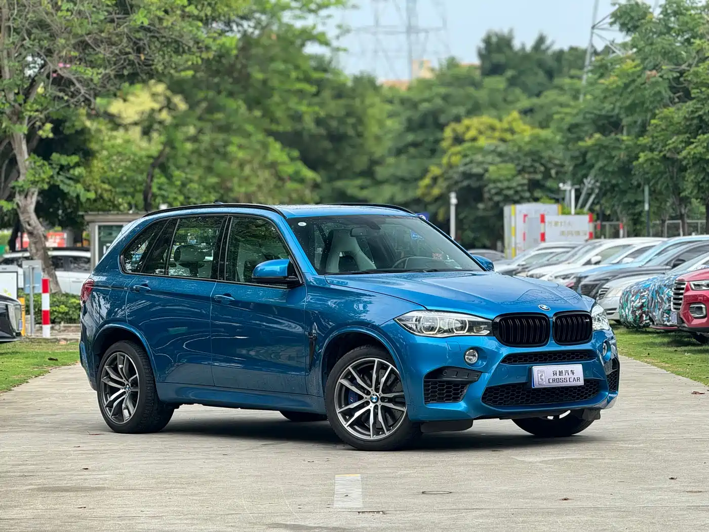 BMW X5 M 2015 X5 M фото 3