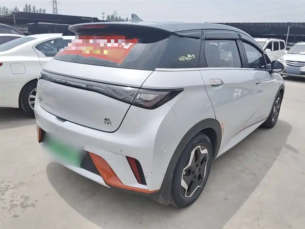 BYD Dolphin 2021 Model 405km Fashion Edition фото 7