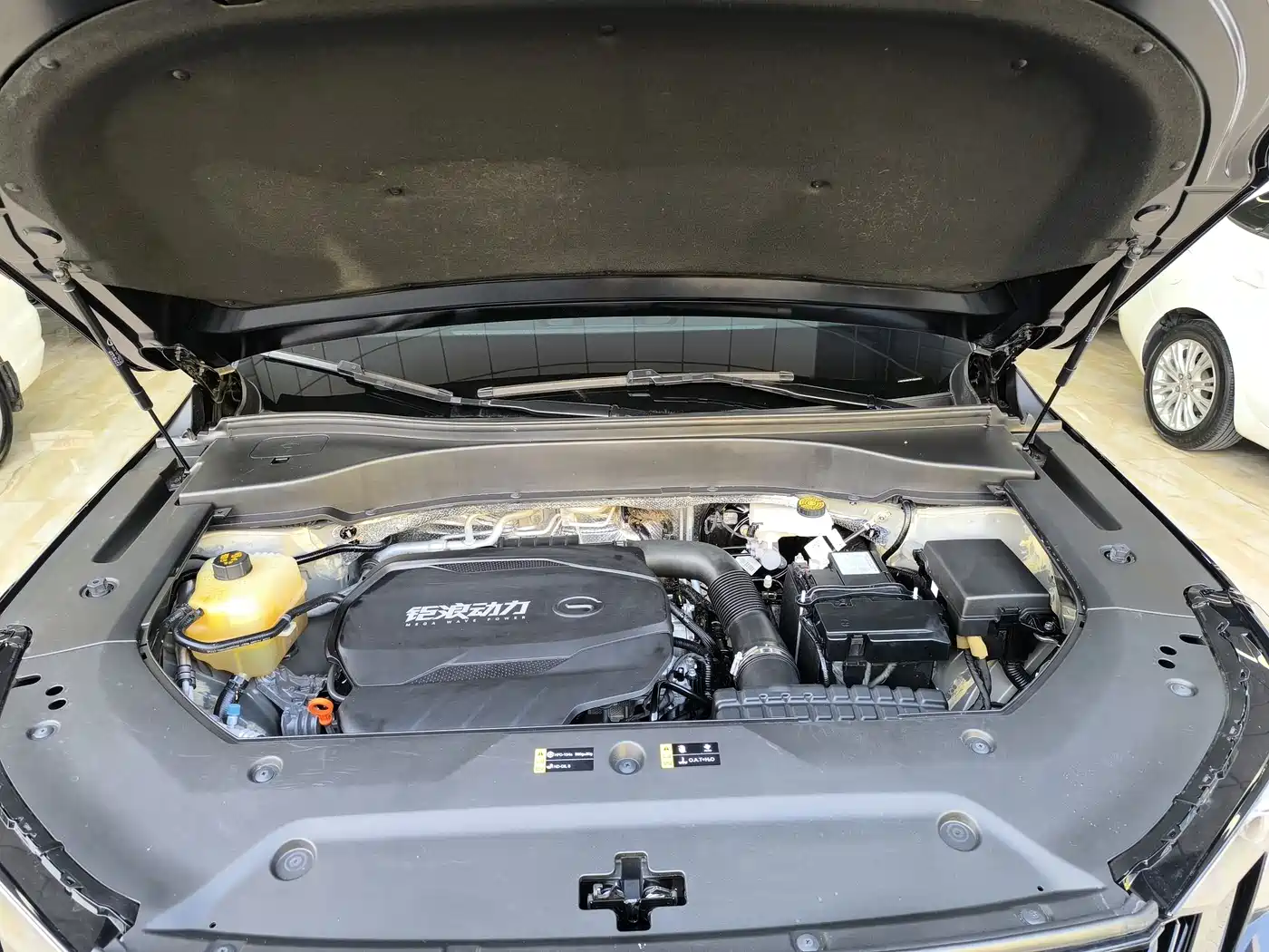 GAC Trumpchi Trumpchi GS8 2022 Pilot Series 2.0TGDI 2WD Luxury Smart Connect Edition (7-Seater) фото 17