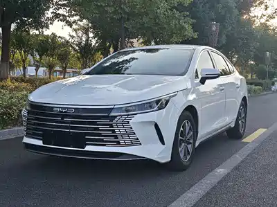 BYD Destroyer 05
