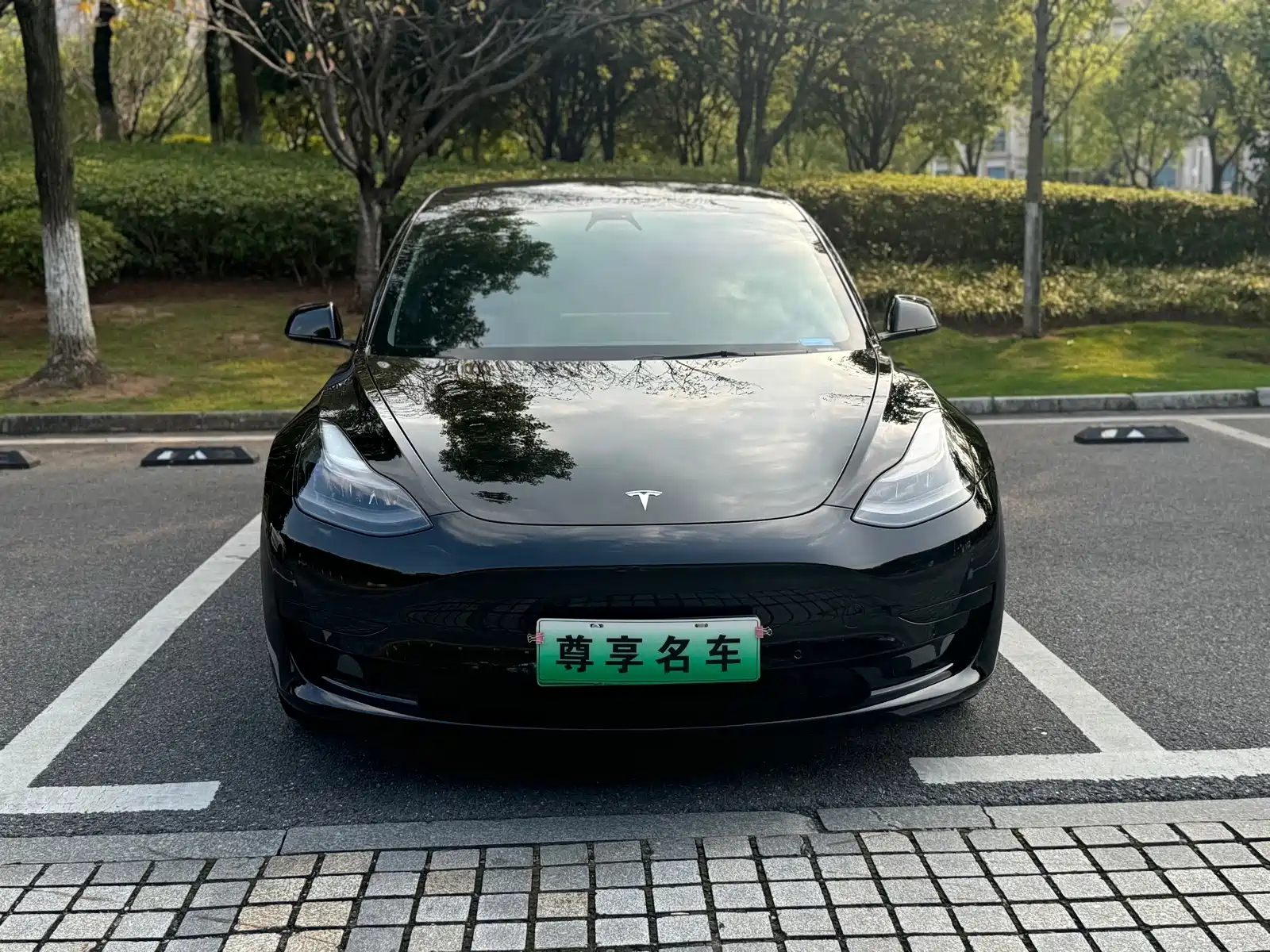 Фото 2 - Tesla Model 3