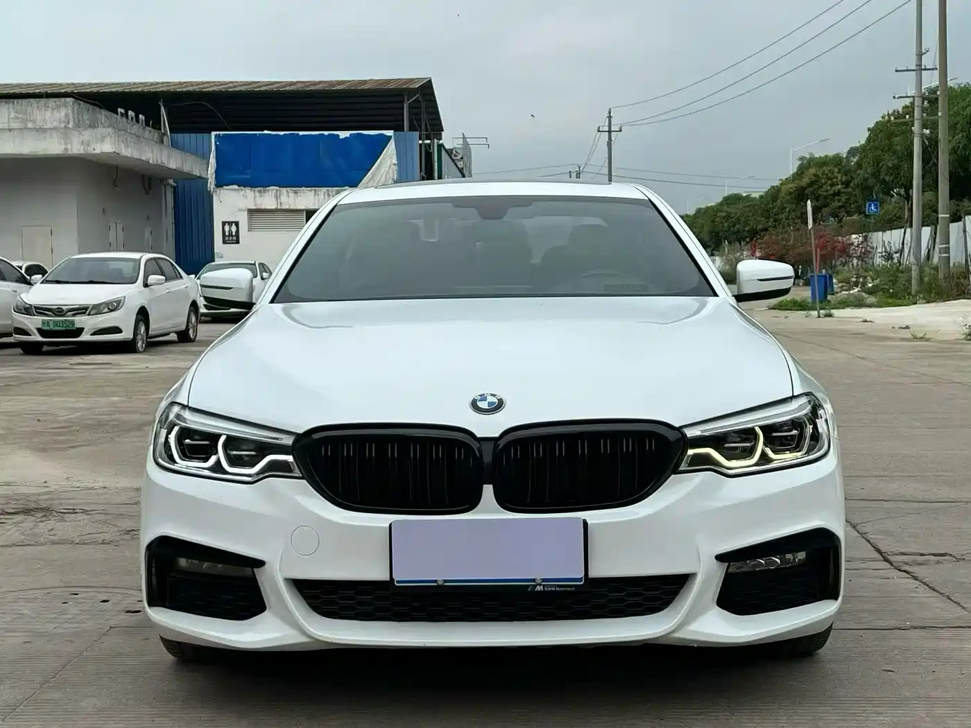 BMW 5 Series 2019 530Li Leading M Sport Package фото 2