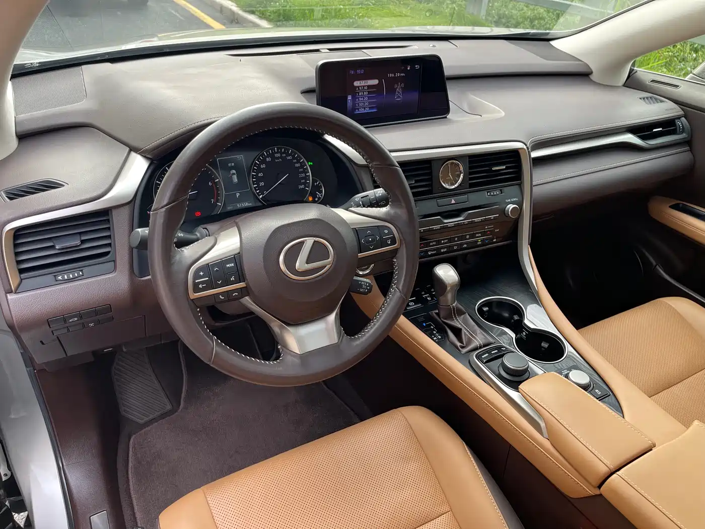 LEXUS RX