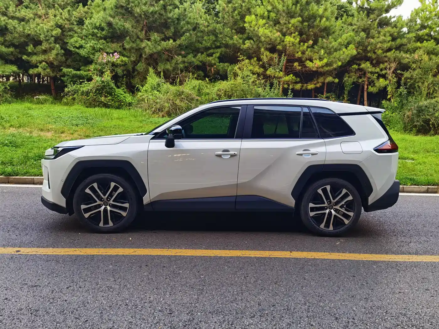 Toyota Wildlander 2026 2025 Hybrid 2.5L Base Model
