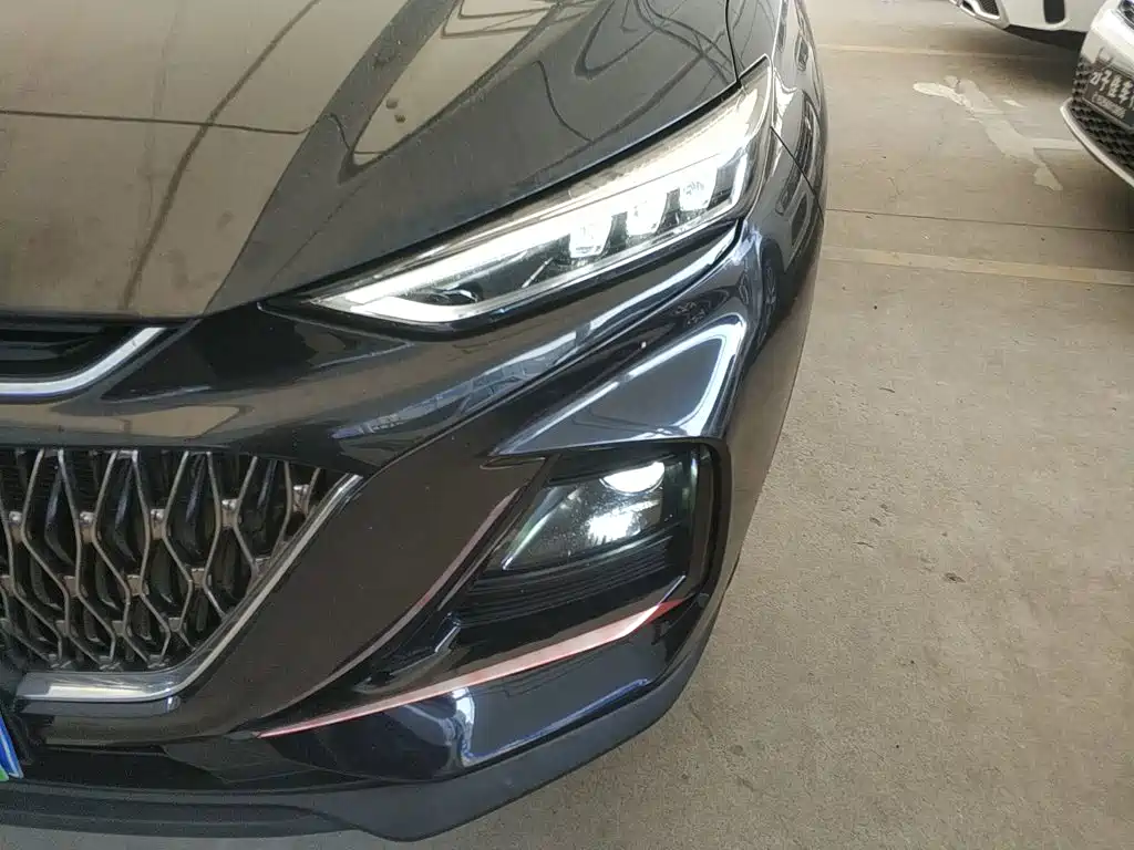 Changan Oshan X7 PLUS 2022 2022 1.5T Blue Whale Edition Auto Executive