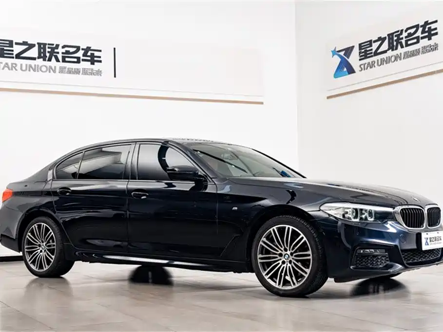 BMW 5 Series 2019 530Li Leading M Sport Package фото 6