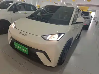 BYD Seagull
