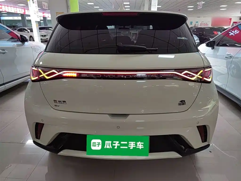 BYD Dolphin 2023 420km Freedom Edition фото 6