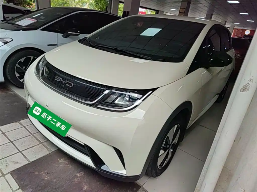 BYD Dolphin 2023 420km Freedom Edition