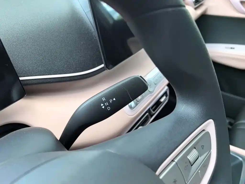 BYD Seagull 2026 2025 Smart Drive Edition 305km Vitality Version