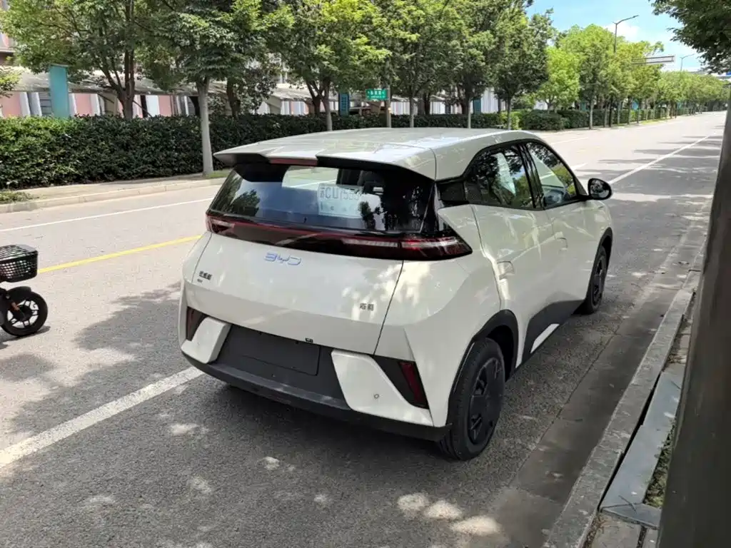 BYD Seagull 2026 2025 Smart Drive Edition 305km Vitality Version