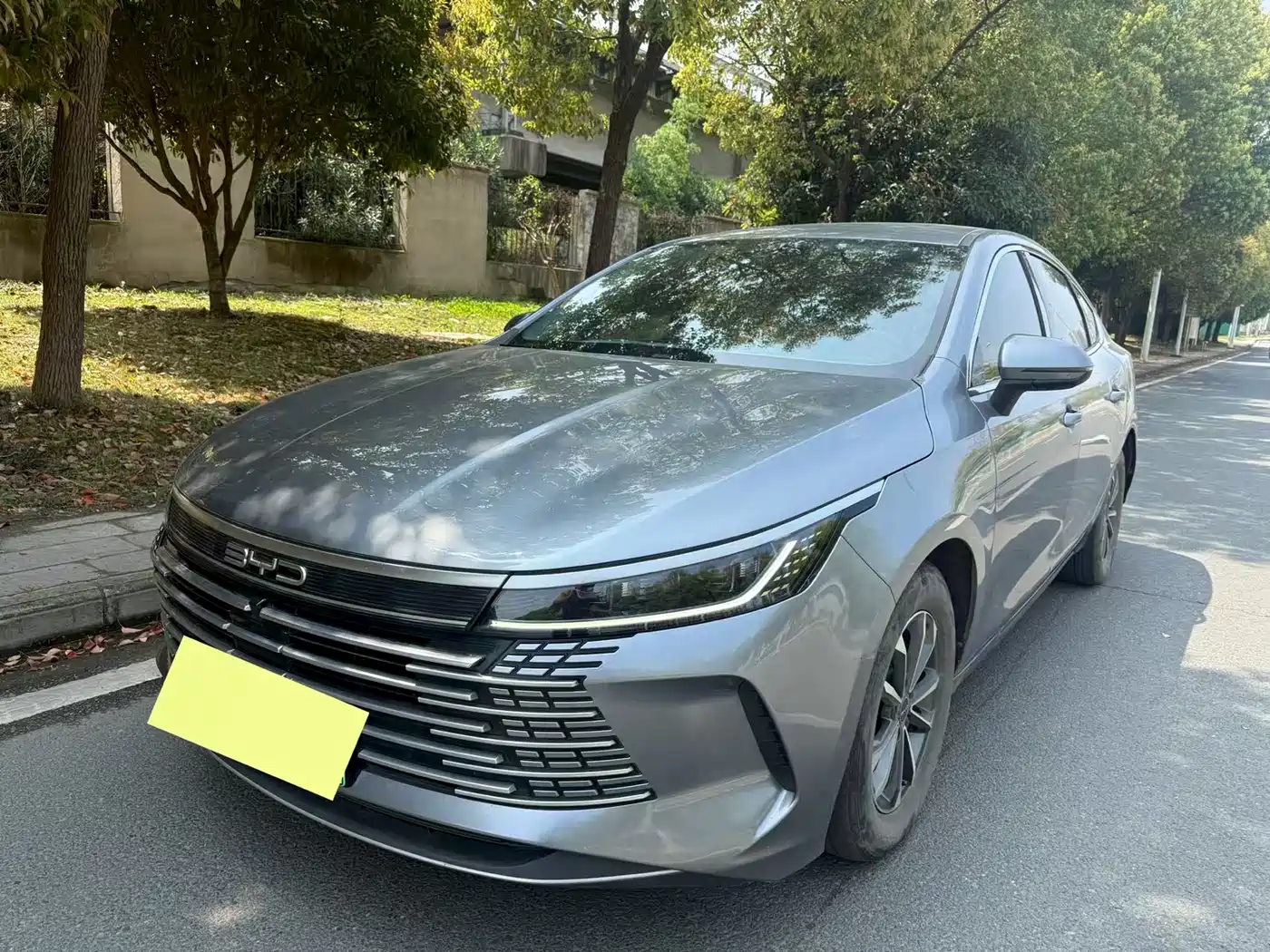 BYD Destroyer 05 2023 Champion Edition DM-i 55KM Luxury